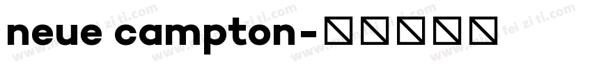 neue campton字体转换